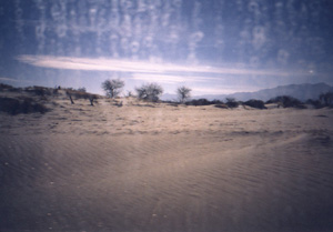 altiplano, 1995