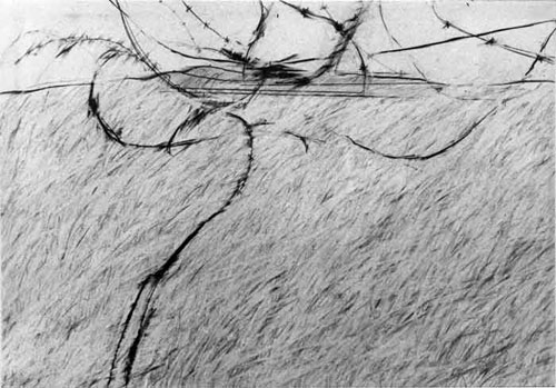 gras Ronald Ruseler