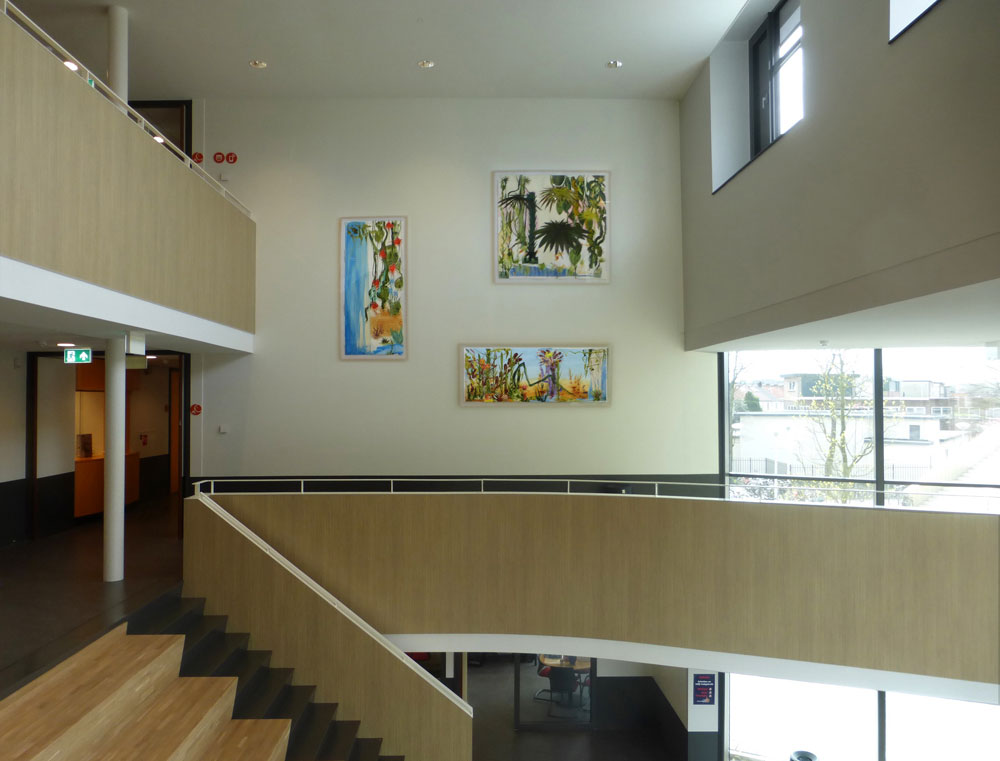 Selva, oerwoud, art,